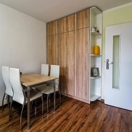 Centrum 公寓 维斯拉